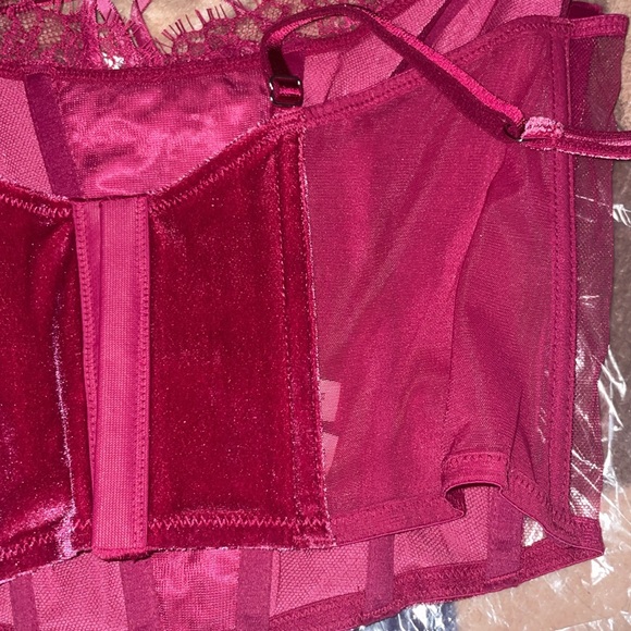 PINK x LoveShackFancy Unlined Lace-Up Corset Top - Picture 9 of 16